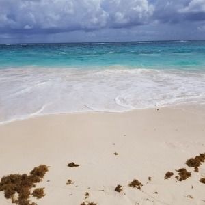 Meet your Posher, Patrice